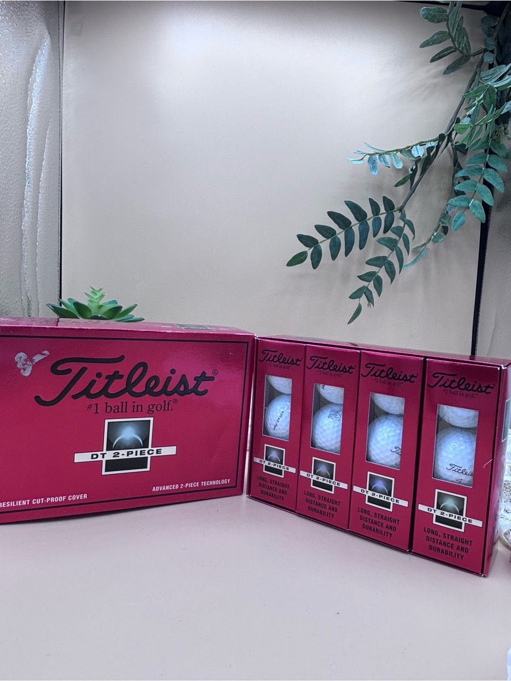Titleist DT 2-Piece golf balls